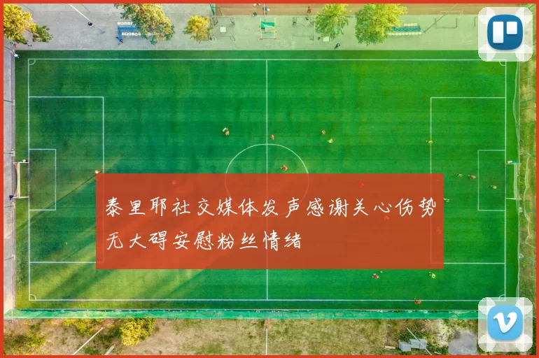 泰里耶社交媒体发声感谢关心伤势无大碍安慰粉丝情绪