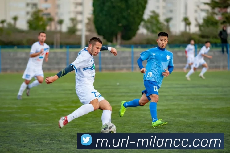 米兰体育平台生态图